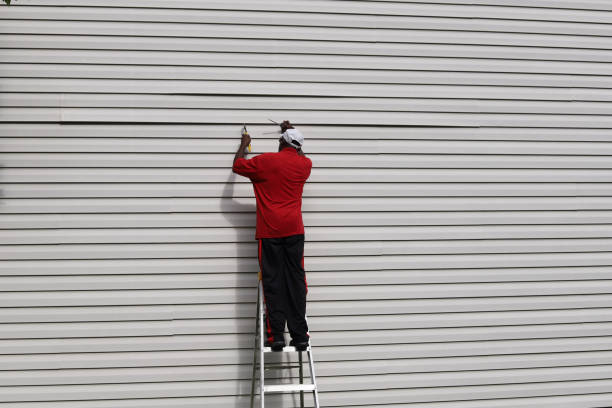 Best Steel Siding Installation  in Waukee, IA